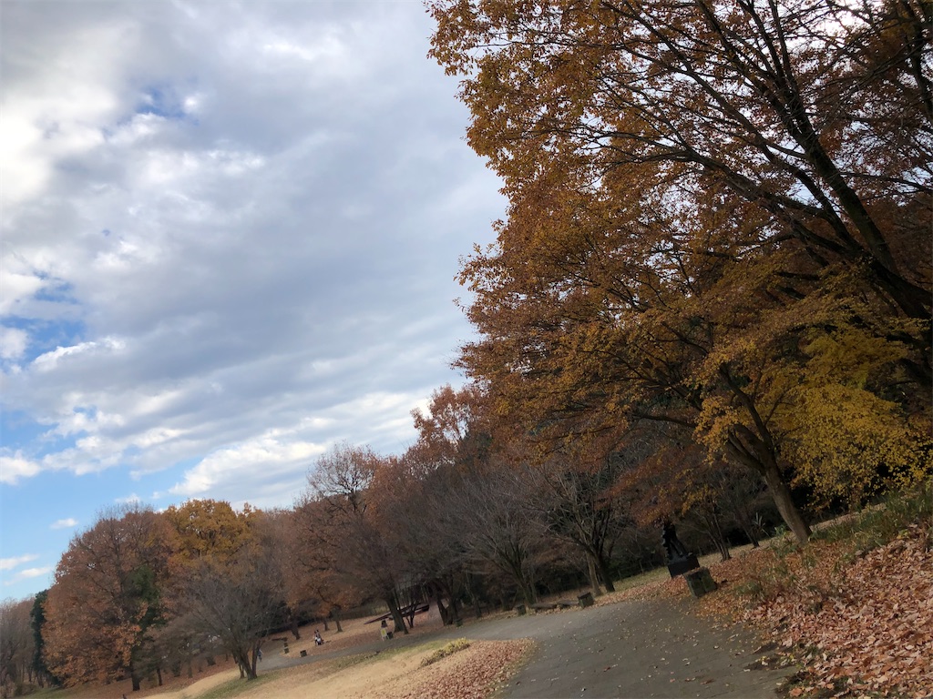 f:id:chibikkogyangu:20191212162353j:image f:id:chibikkogyangu:20191212162353j:image