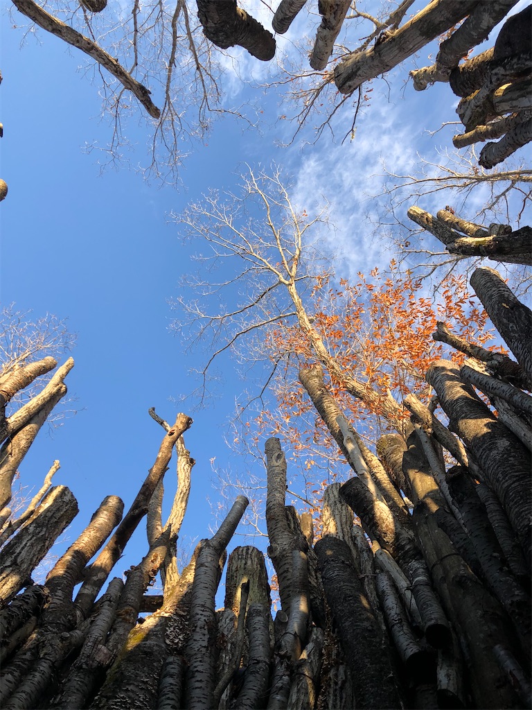 f:id:chibikkogyangu:20191215180401j:image f:id:chibikkogyangu:20191215180401j:image