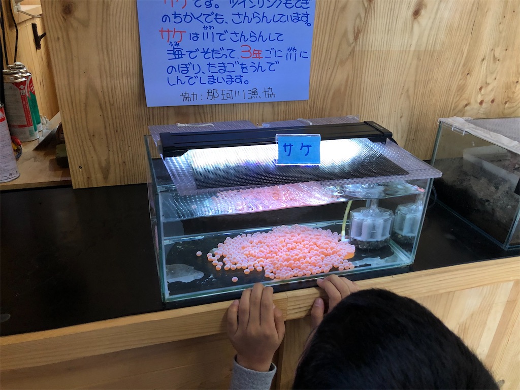 f:id:chibikkogyangu:20191215180418j:image f:id:chibikkogyangu:20191215180418j:image
