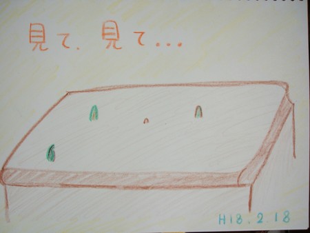 f:id:chibikkoma-ya:20060218172545j:image