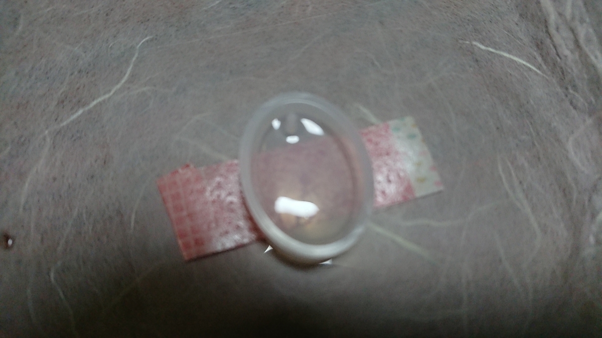f:id:chibineko-j:20190626004317j:plain f:id:chibineko-j:20190626004317j:plain