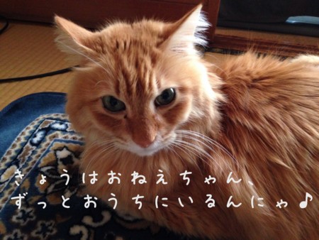 f:id:chibineko:20140103163501j:image