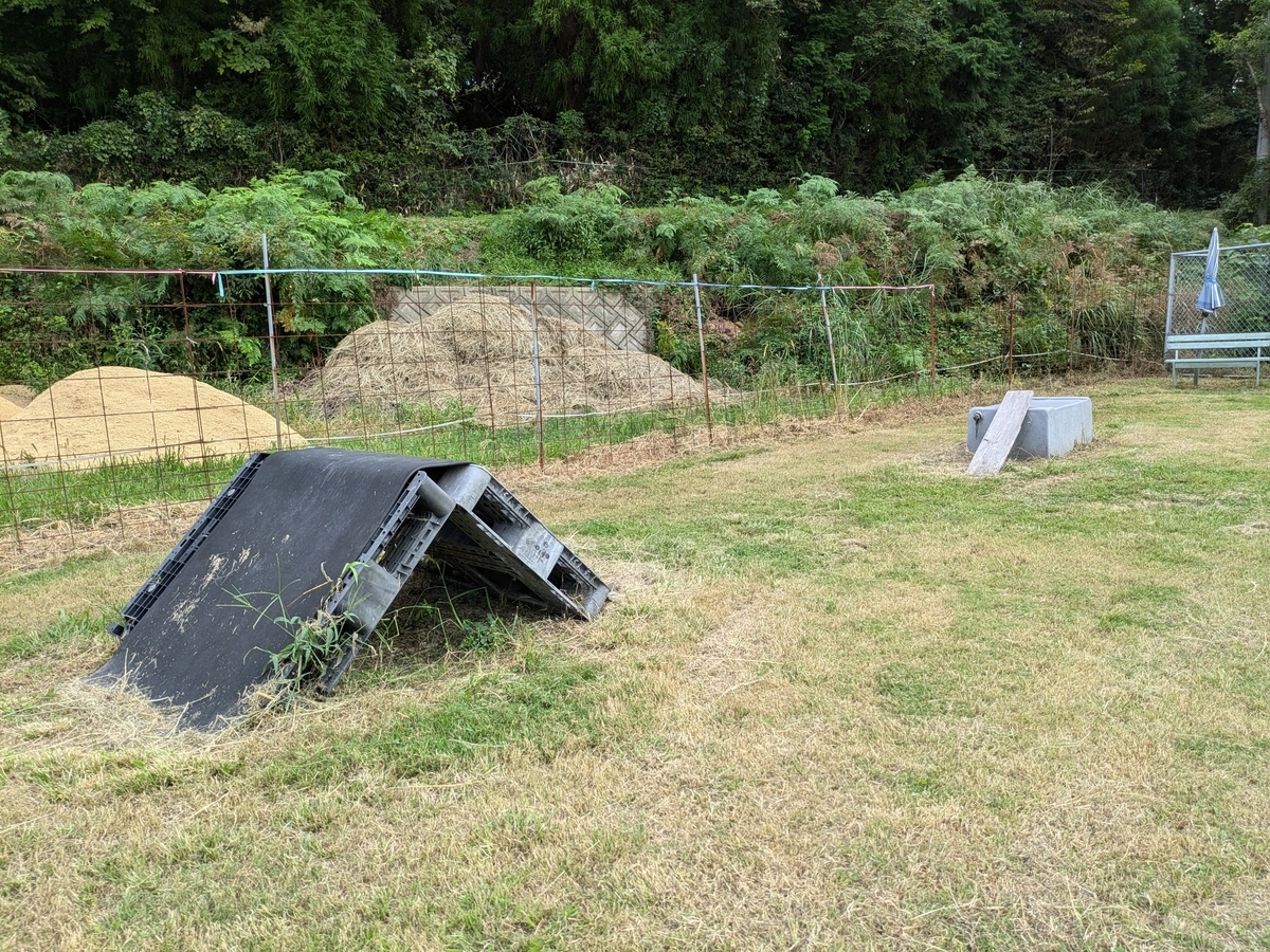 星ふる里 ワンワンRUN