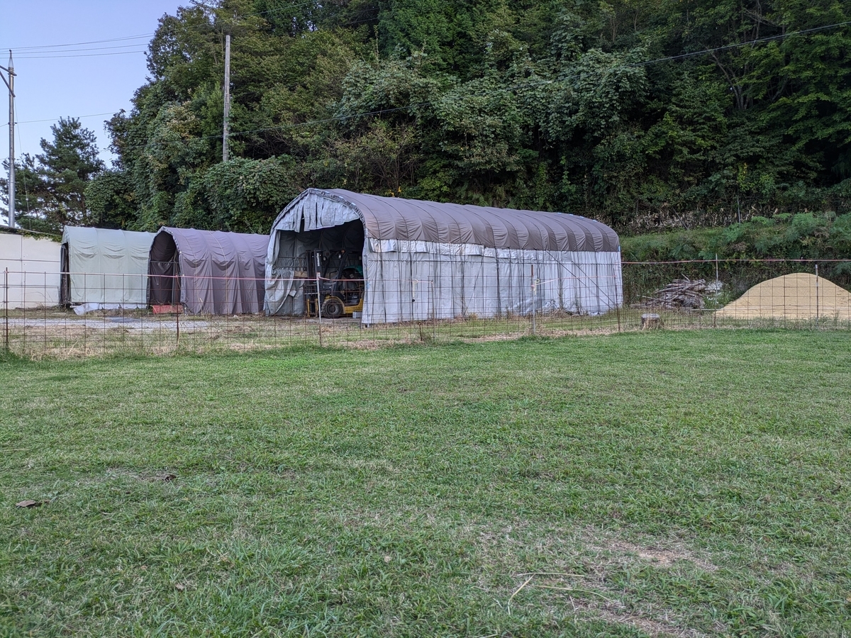 星ふる里 ワンワンRUN