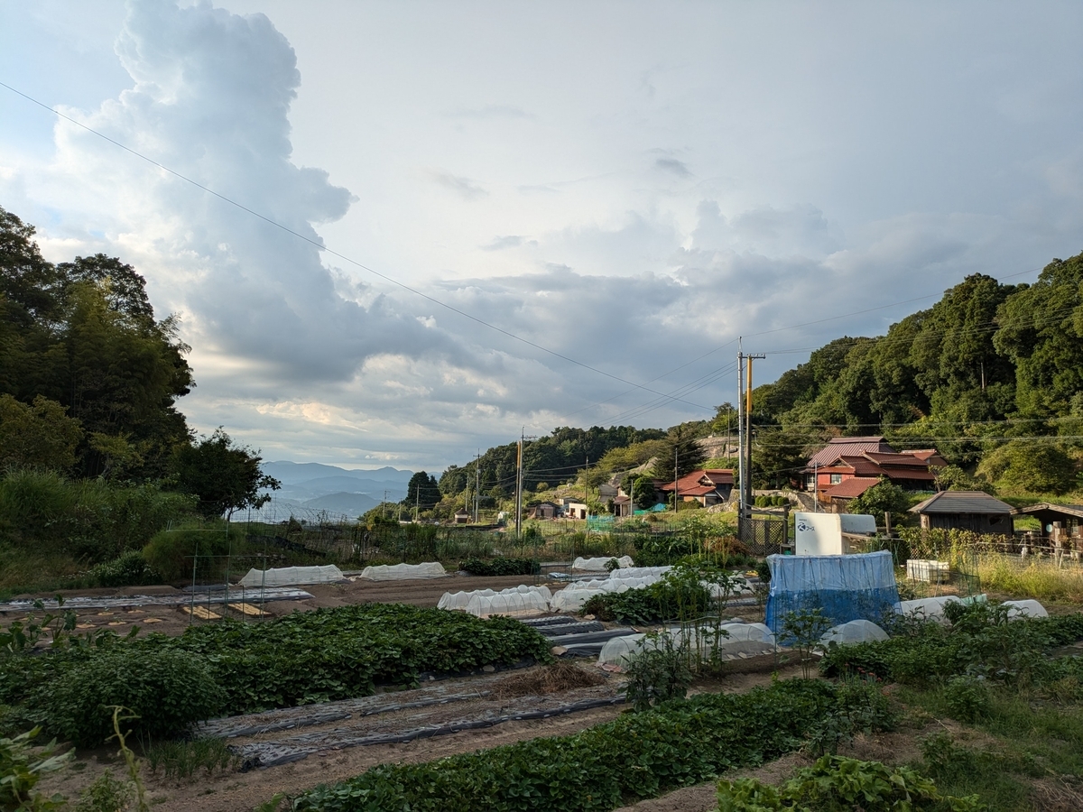 星ふる里 ワンワンRUN