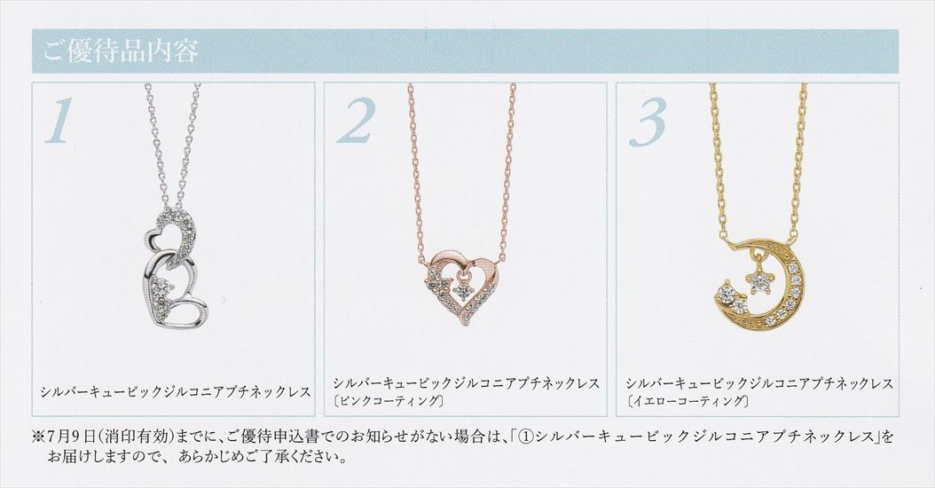 f:id:chibisukeruu:20210617015124j:plain