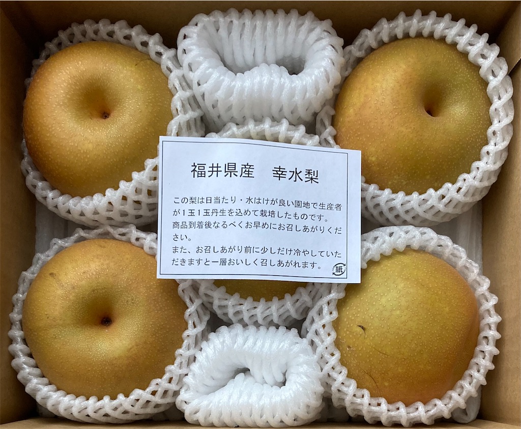 f:id:chibisukeruu:20220830071336j:image