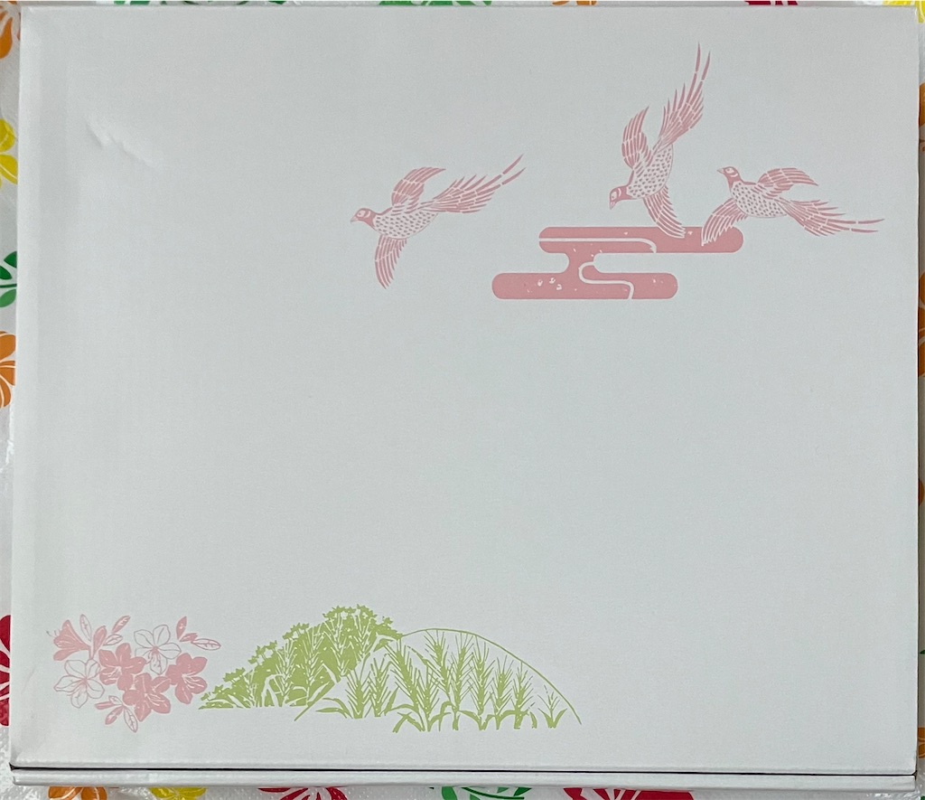 f:id:chibisukeruu:20230722174843j:image