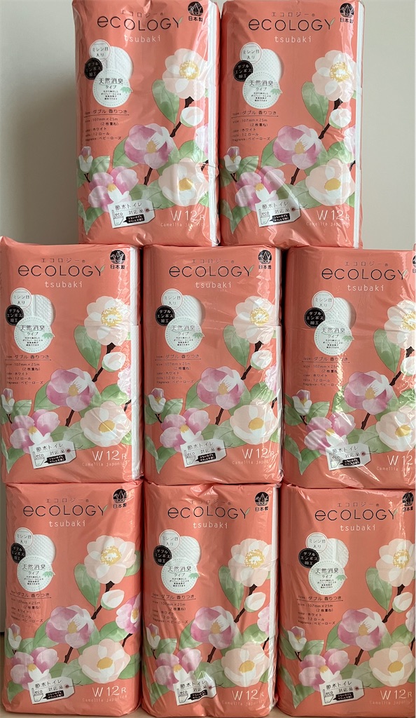 f:id:chibisukeruu:20230825122037j:image