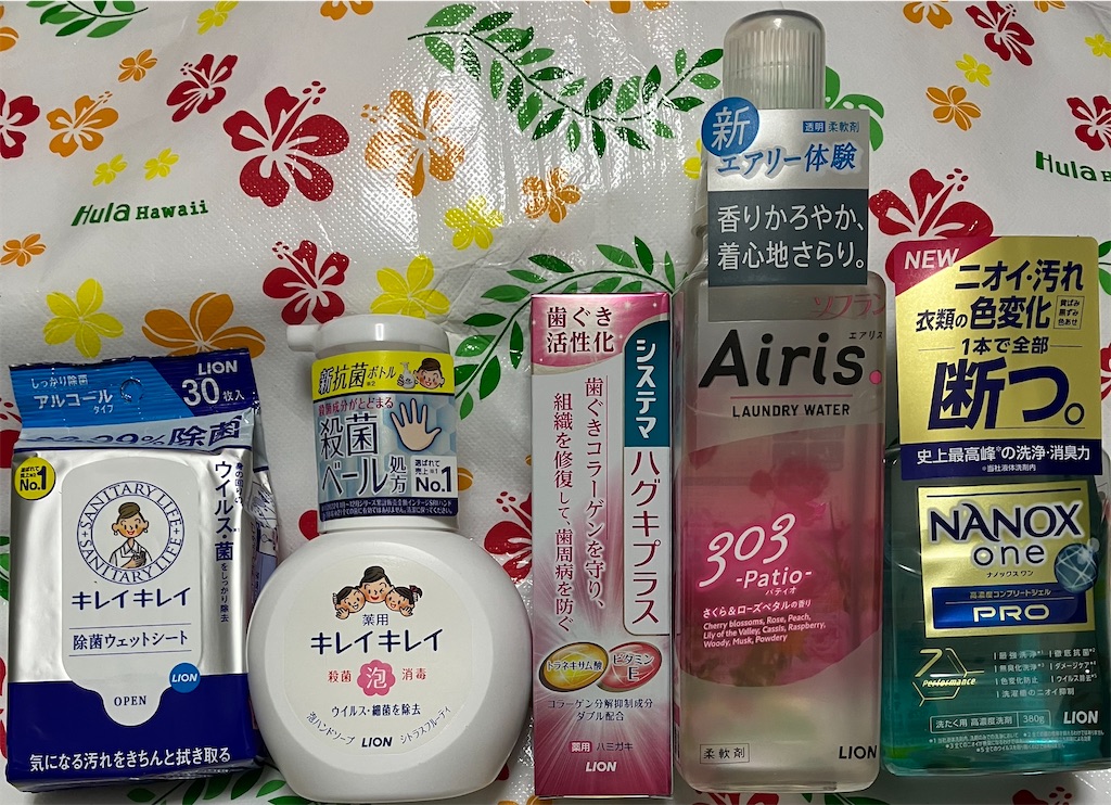 f:id:chibisukeruu:20240310191012j:image