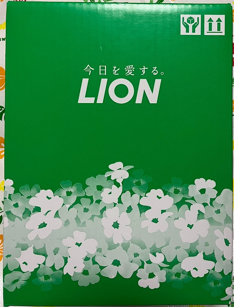 f:id:chibisukeruu:20240310191015j:image