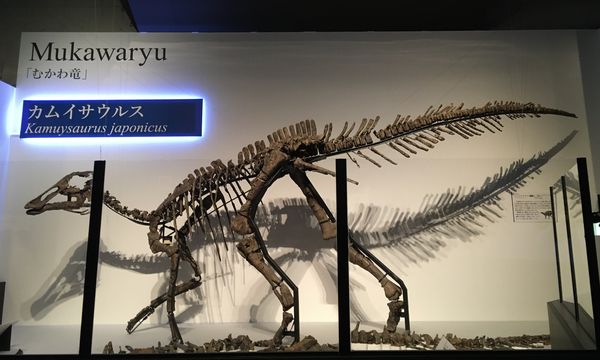 [恐竜博2019]むかわ竜／カムイサウルス(2019/09/26)