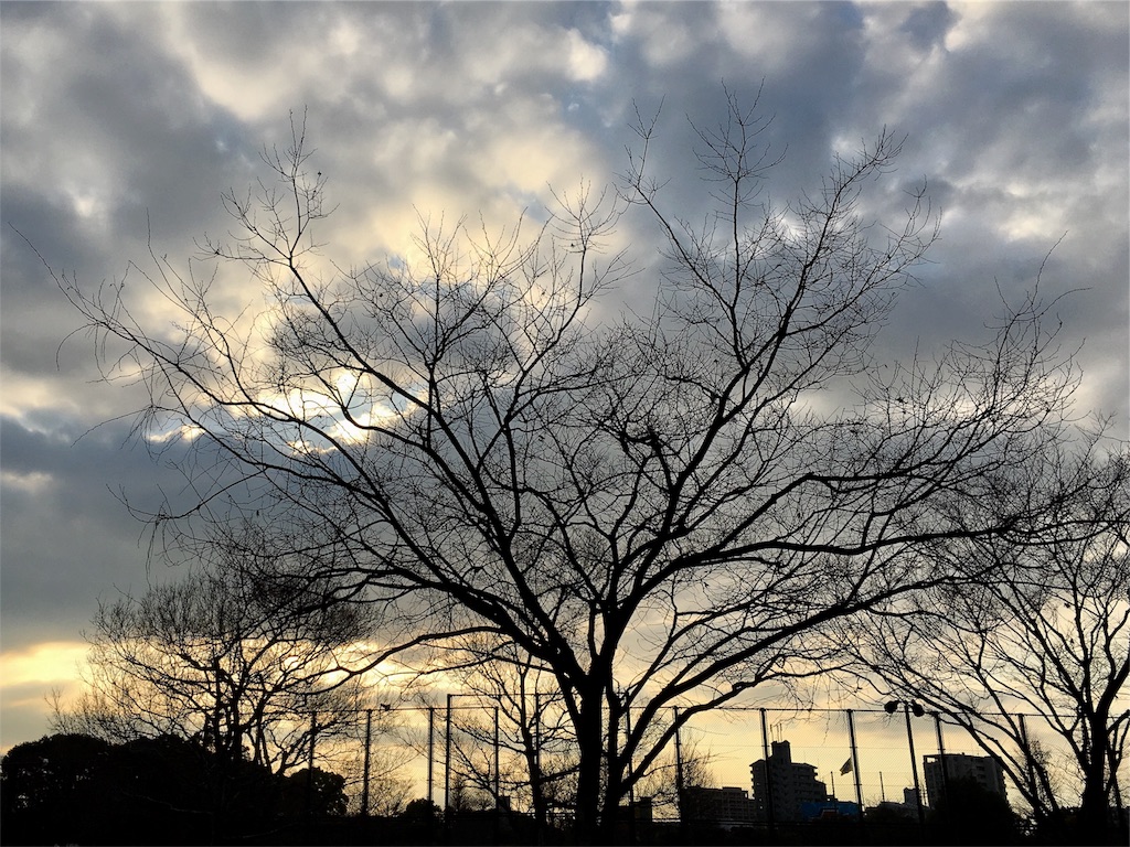 f:id:chibo-kyu:20170301190755j:image