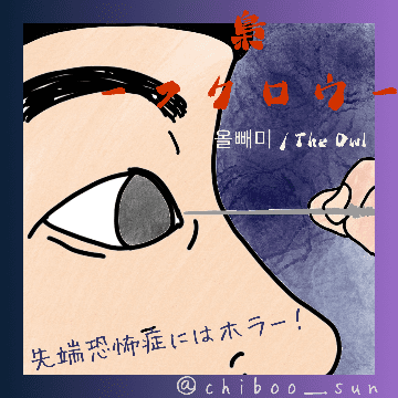 韓国王朝”仁祖実録”の怪死ミステリー！「梟ーフクロウー」のイラスト