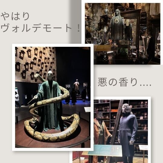スタジオツアー東京のヴォルデモート様の画像