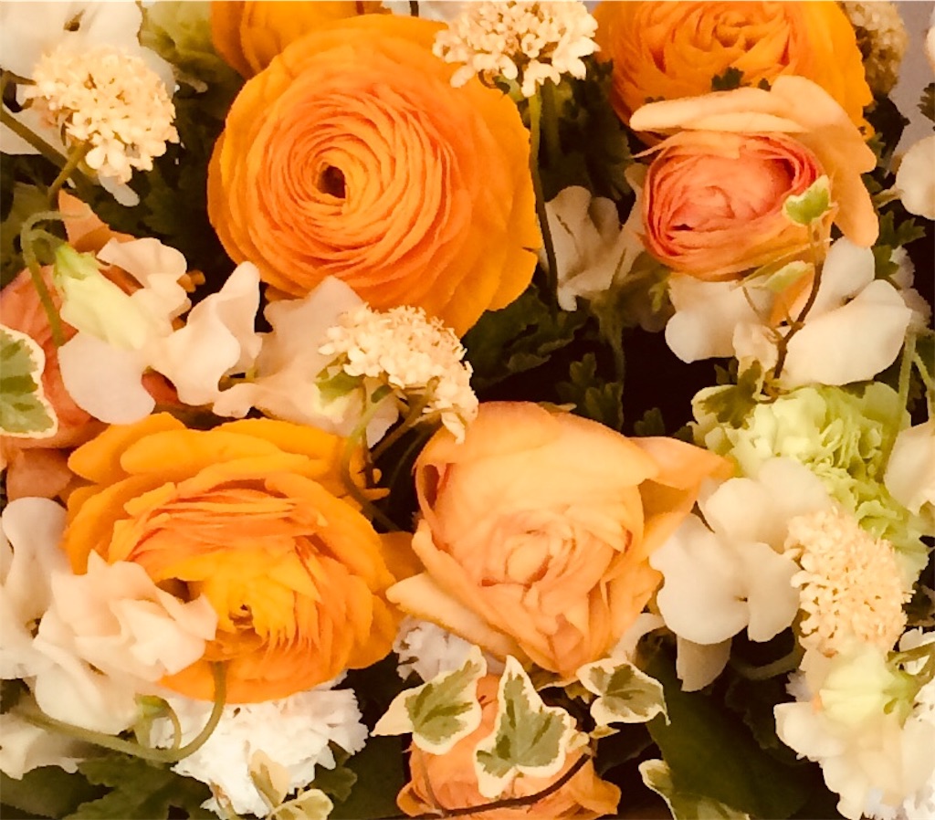 f:id:chica-am:20180321234703j:image f:id:chica-am:20180321234703j:image