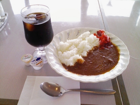 展望レストラン「バルーン」でカレー　ナウ（成田・航空科学博物館）