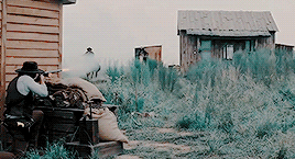 f:id:chicchi0411:20170625012218g:plain f:id:chicchi0411:20170625012218g:plain