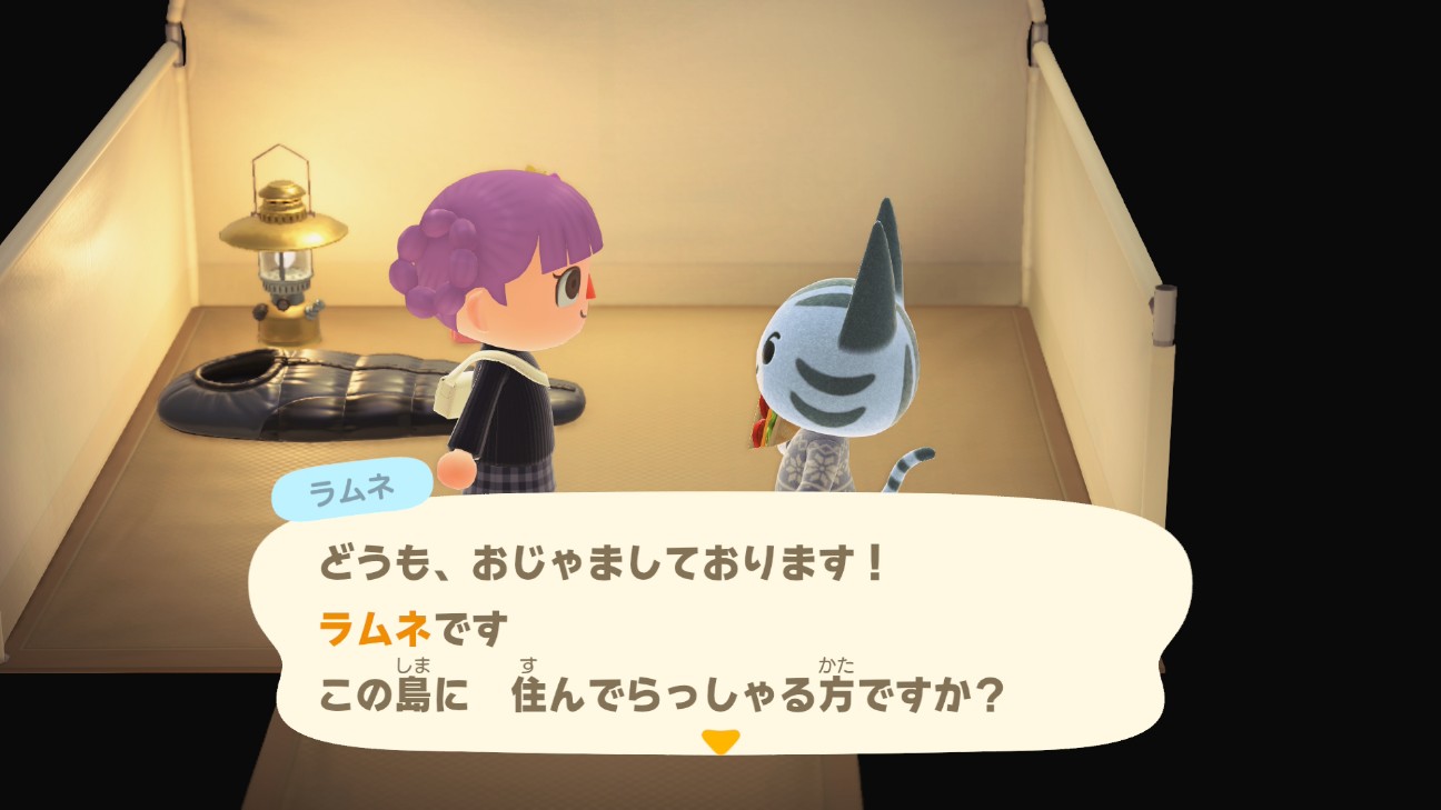 f:id:chicchi_diary:20260618210722j:image f:id:chicchi_diary:20260618210722j:image