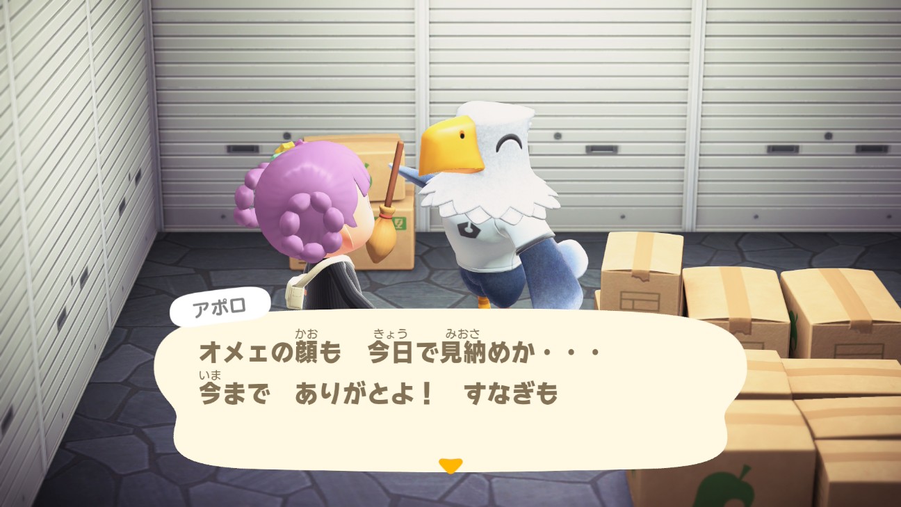 f:id:chicchi_diary:20260618210724j:image f:id:chicchi_diary:20260618210724j:image