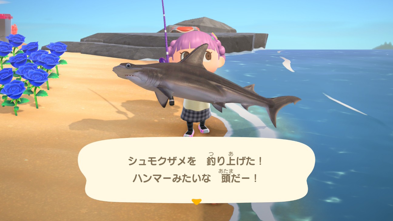f:id:chicchi_diary:20260618210727j:image f:id:chicchi_diary:20260618210727j:image
