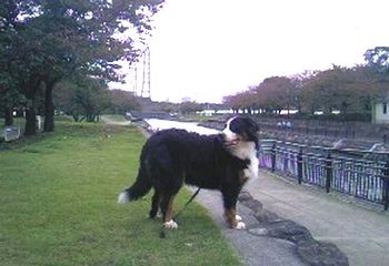 f:id:chichi7:20081025064731j:image