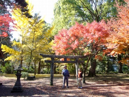 f:id:chichi7:20101122131722j:image f:id:chichi7:20101122131722j:image