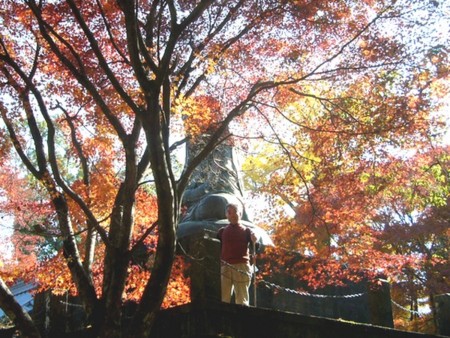 f:id:chichi7:20101122132242j:image f:id:chichi7:20101122132242j:image