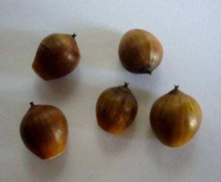 f:id:chichi7:20101204173918j:image