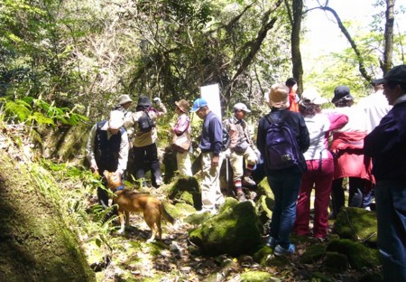 f:id:chichi7:20110430100617j:image