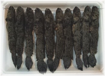 f:id:chichi7:20120603191407j:image