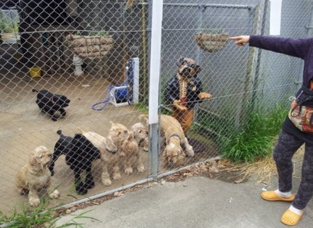 f:id:chichi7:20120603191408j:image