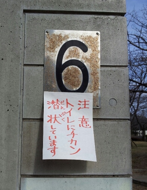 f:id:chichi7:20130110150514j:image:left