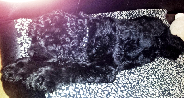 f:id:chichi7:20130430161451j:image f:id:chichi7:20130430161451j:image