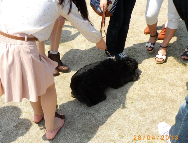 f:id:chichi7:20130430161518j:image:left f:id:chichi7:20130430161518j:image:left