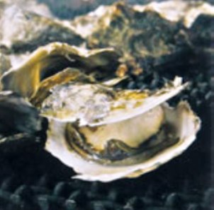 f:id:chichi7:20130430161617j:image f:id:chichi7:20130430161617j:image