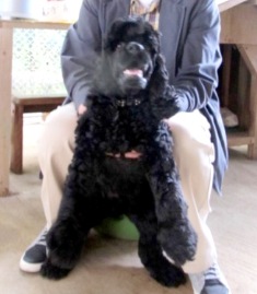 f:id:chichi7:20130522094402j:image f:id:chichi7:20130522094402j:image