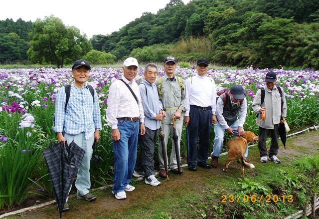 f:id:chichi7:20130624121131j:image