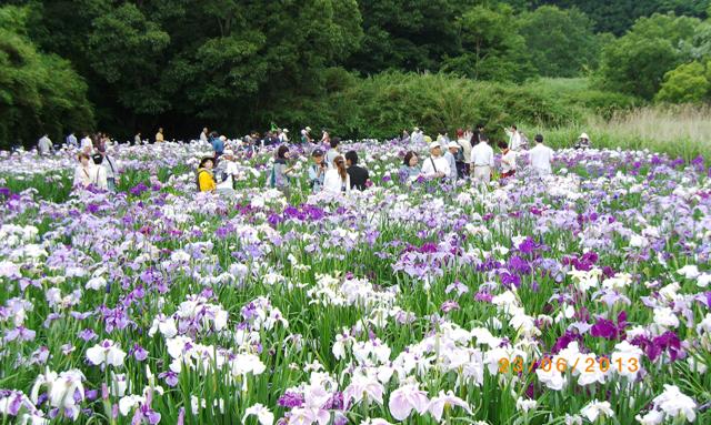 f:id:chichi7:20130624121134j:image