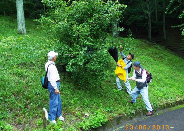 f:id:chichi7:20130624121137j:image