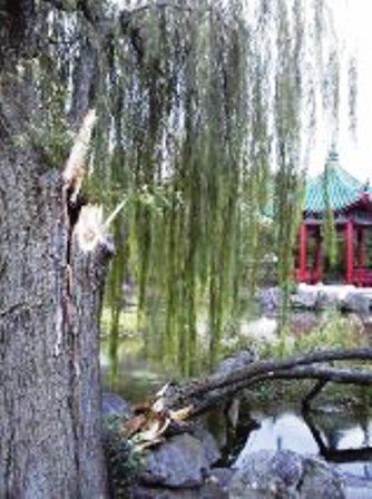 f:id:chichi7:20130917105202j:image:w360:left