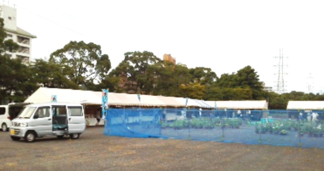 f:id:chichi7:20140811183419j:image