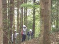測量