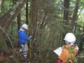 樹高測定の様子