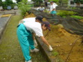 苗畑除草作業