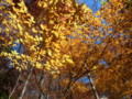 20121112113228