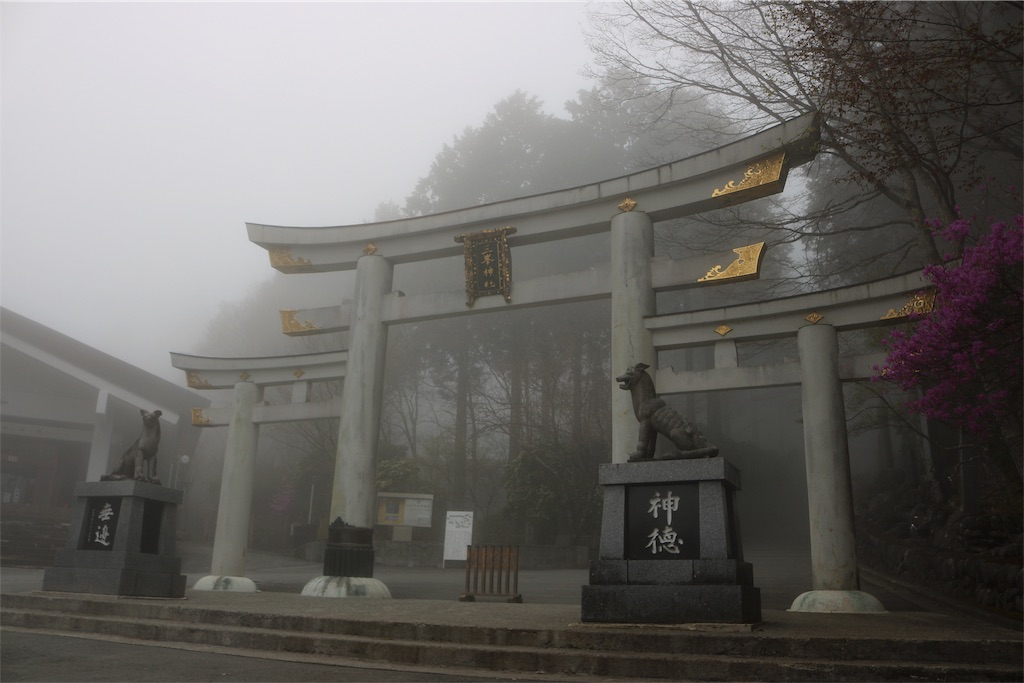 f:id:chichibusanpo:20190515233725j:image