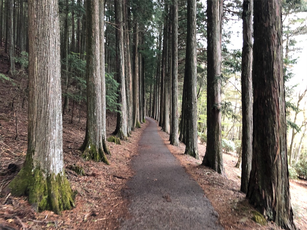 f:id:chichibusanpo:20190515233729j:image