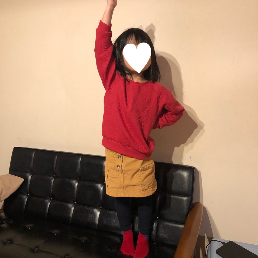 f:id:chichihatsuchi:20190129093127j:plain