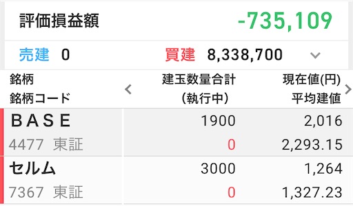 含み損70万円 追証 セルム